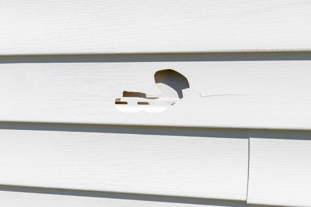 Best Residential Vinyl Siding Installation  in Skippers Corner, NC